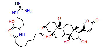 3-(N-Suberoyl argininyl)-hydroxyhellebrigenin
